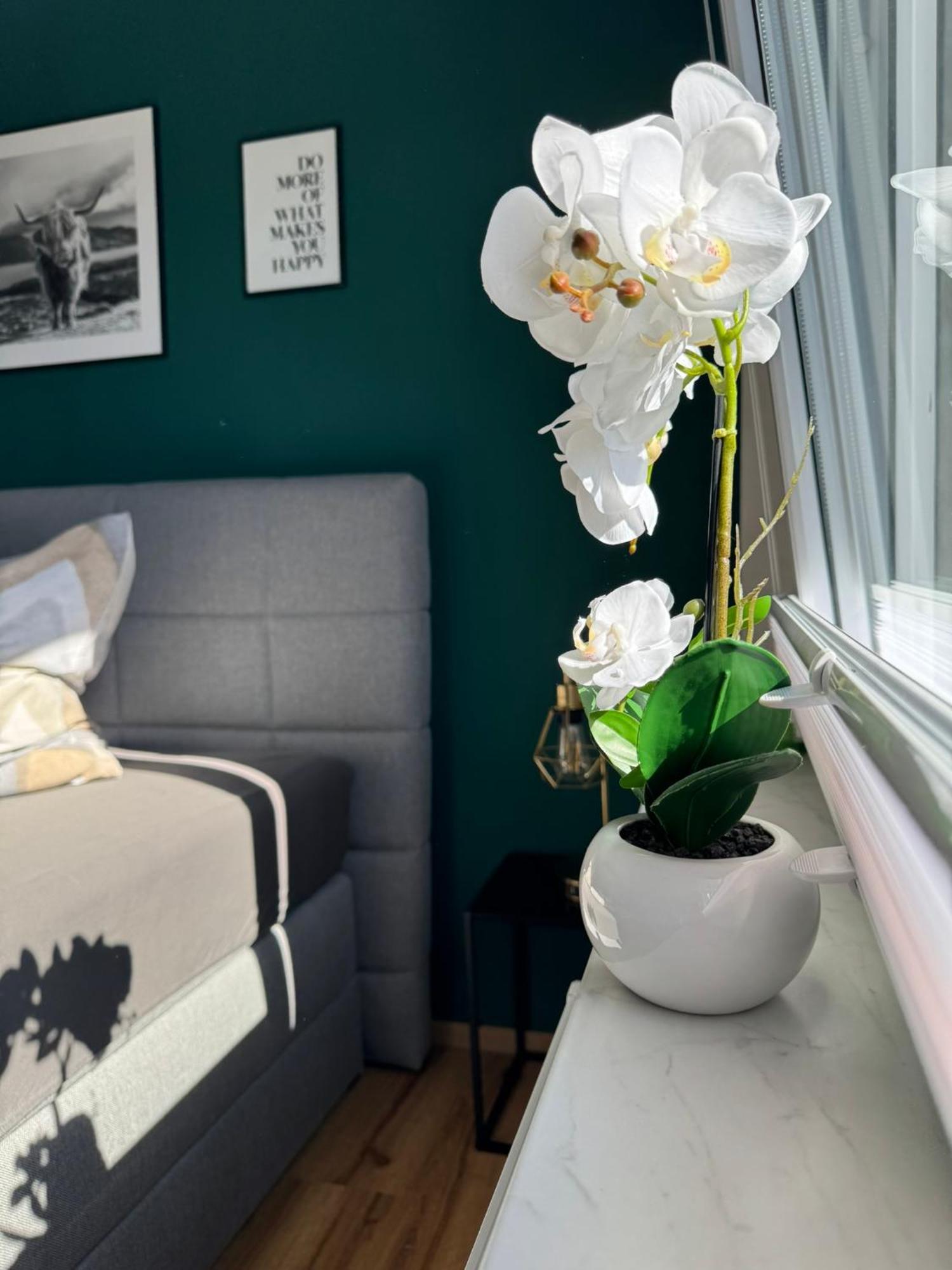 Ferienhaus Hunsrueckliebe Liederbach  Luaran gambar